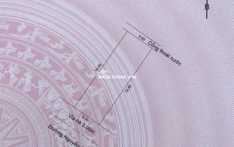  Chào bán lô đất tặng dãy trọ mặt tiền đường Nguyễn Chích, gần Lý Thái Tông.Hòa Minh, Liên Chiểu, Đà Nẵng